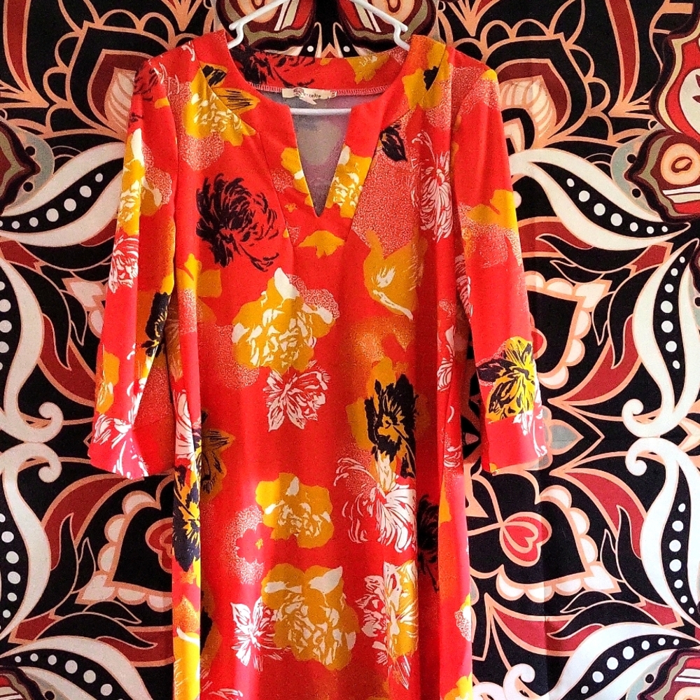 Womans Dress
